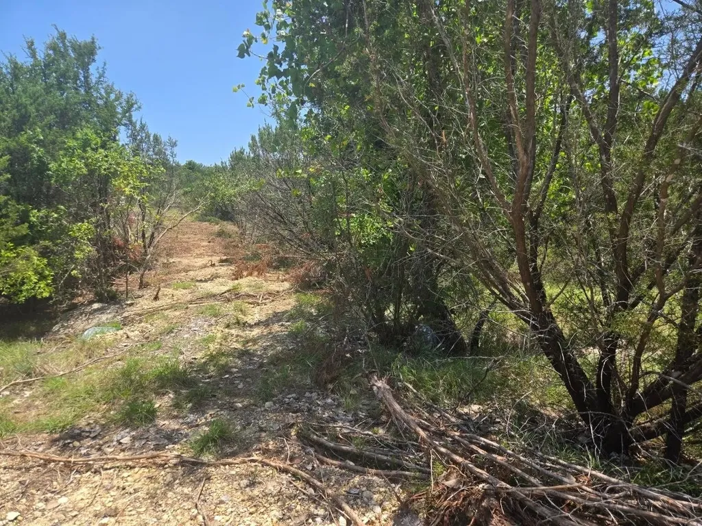 Tbd Lighthouse Drive Bluff Dale TX 76433
