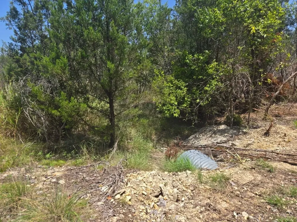 Tbd Lighthouse Drive Bluff Dale TX 76433