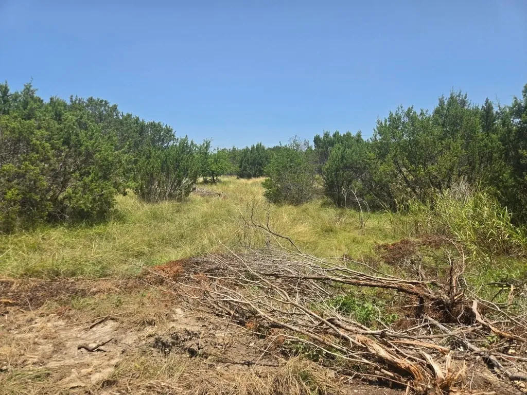 Tbd Lighthouse Drive Bluff Dale TX 76433