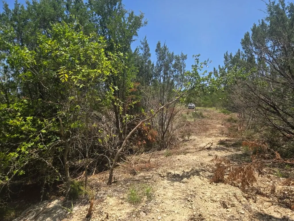 Tbd Lighthouse Drive Bluff Dale TX 76433