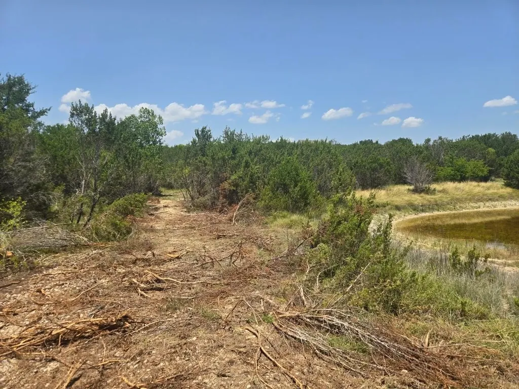 Tbd Lighthouse Drive Bluff Dale TX 76433