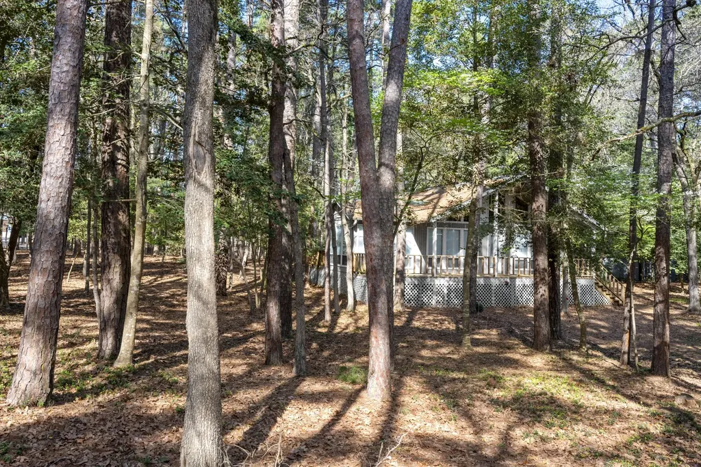159 Cherrywood Lane Holly Lake Ranch TX 75765