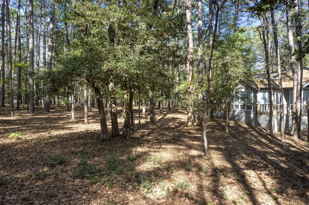 159 Cherrywood Lane Holly Lake Ranch TX 75765