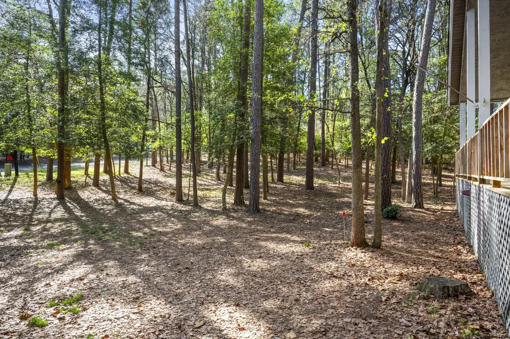 159 Cherrywood Lane Holly Lake Ranch TX 75765