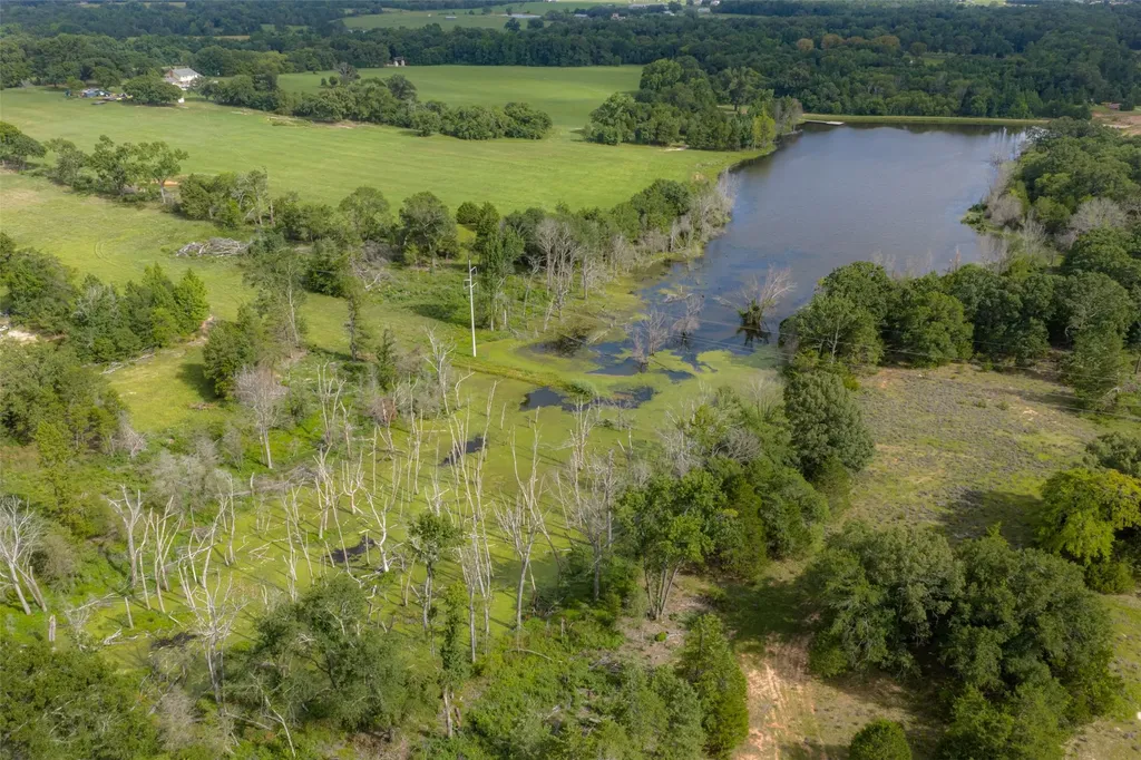 13053 County Road 3806 Murchison TX 75778