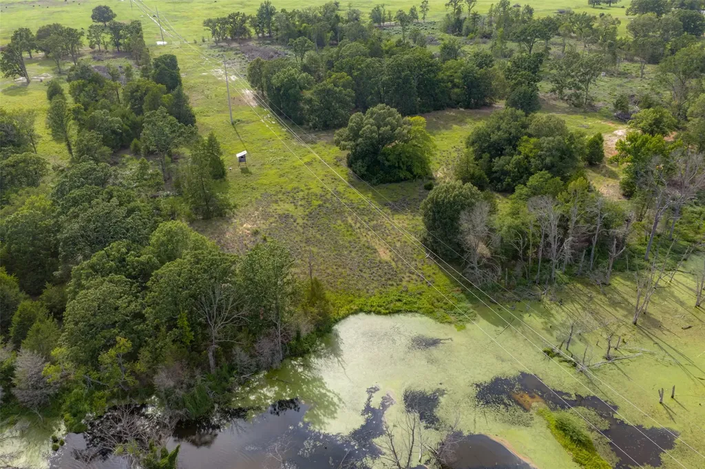 13053 County Road 3806 Murchison TX 75778