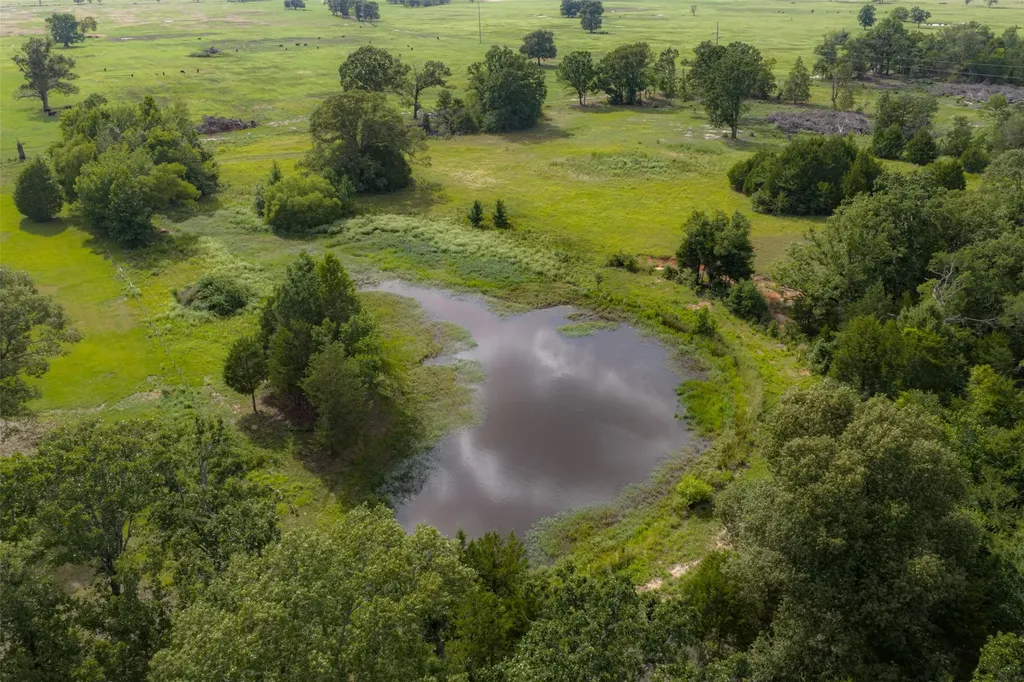 13053 County Road 3806 Murchison TX 75778