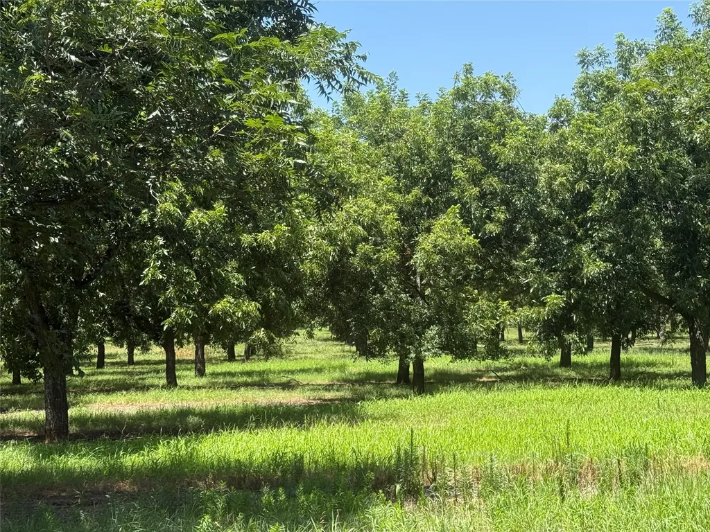 Tbd Cr 426 Comanche TX 76442