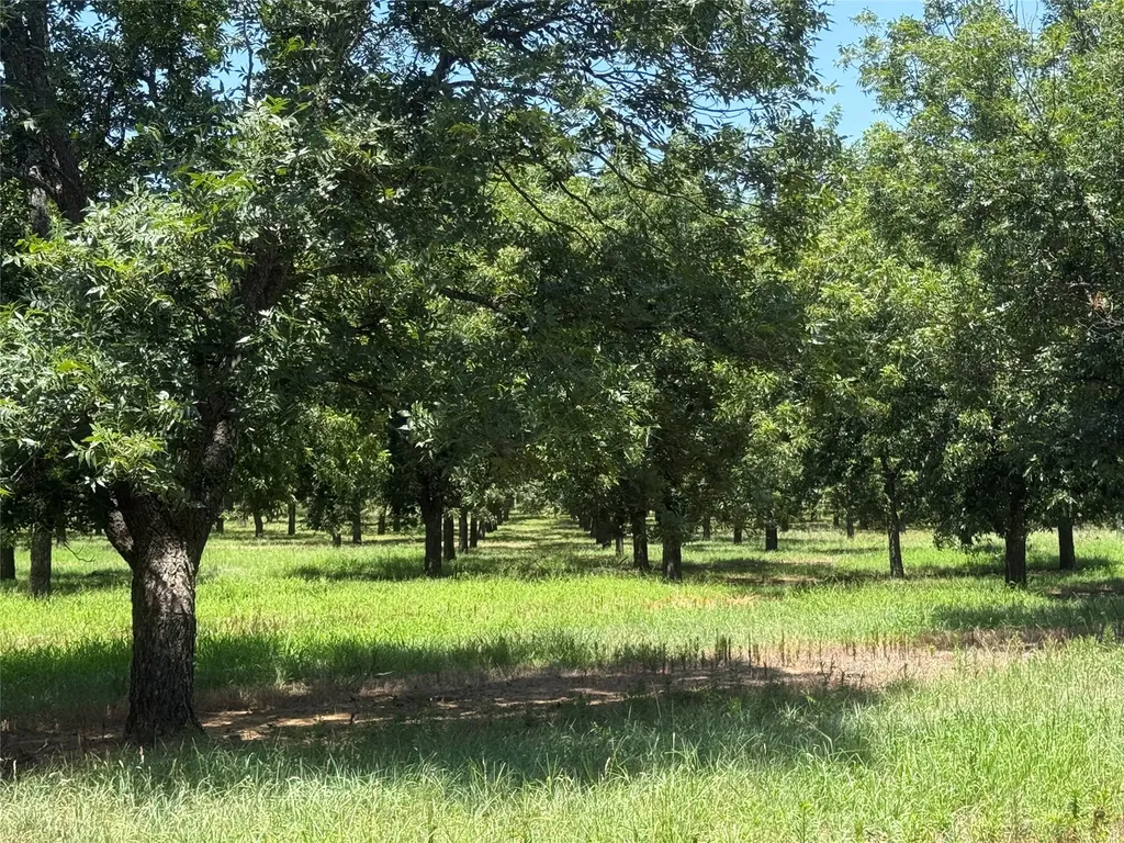 Tbd Cr 426 Comanche TX 76442