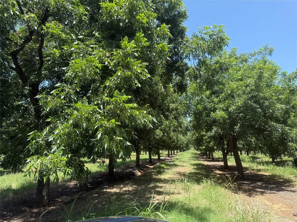 Tbd Cr 426 Comanche TX 76442