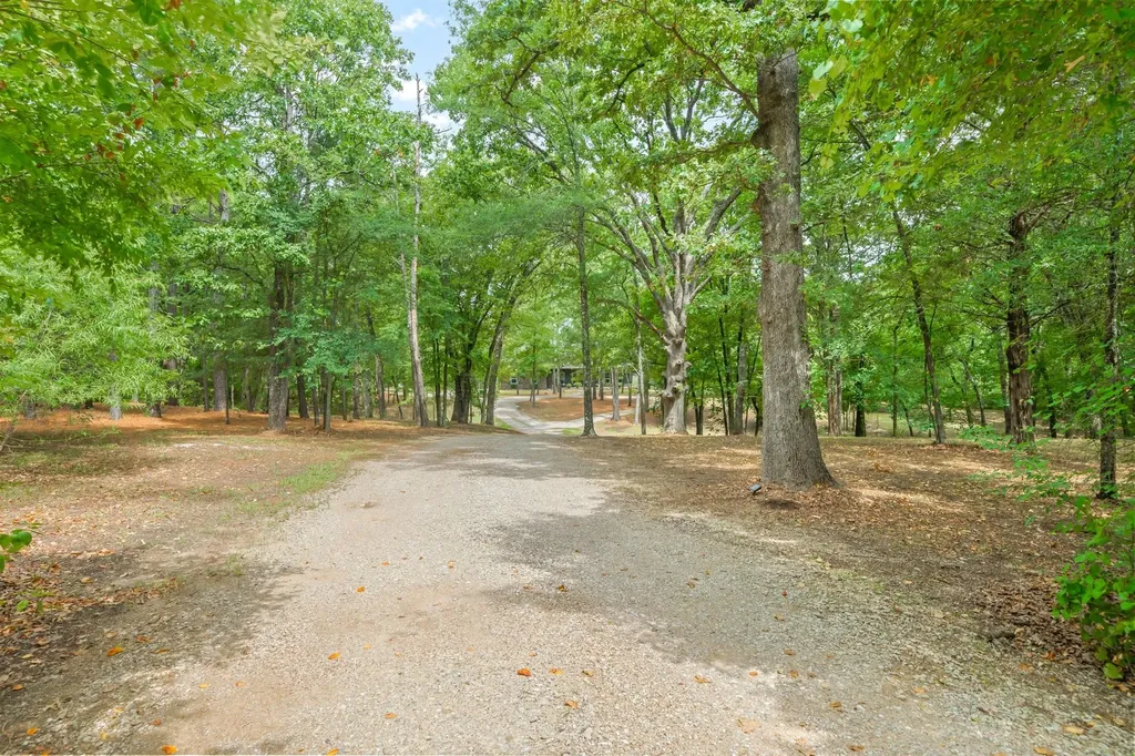 11088 State Highway 19 Edgewood TX 75117