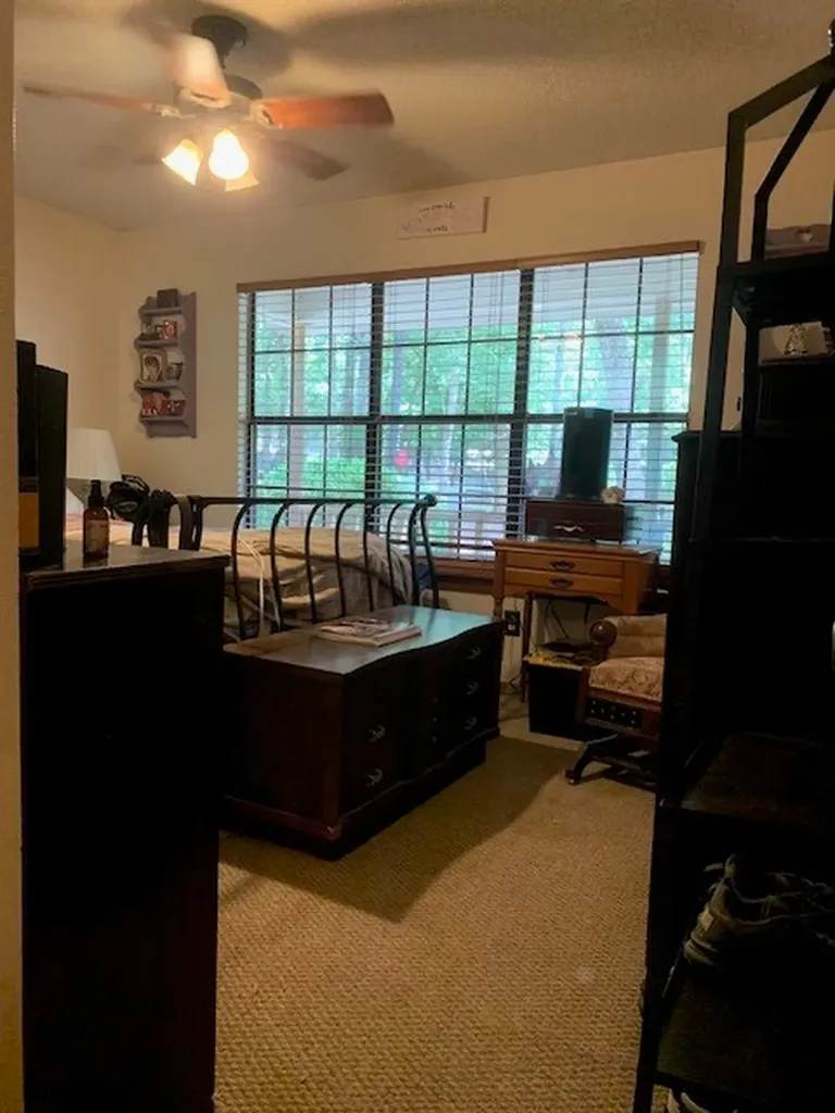860 Wildwood Trail Holly Lake Ranch TX 75765