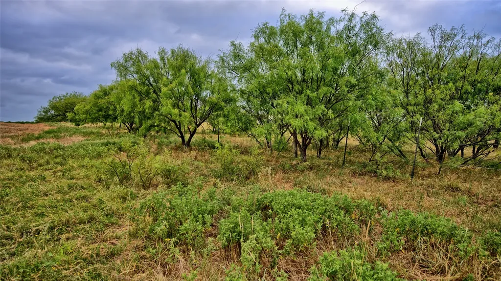 2563 Raymond Edwards Road Henrietta TX 76365