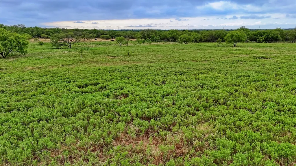 2563 Raymond Edwards Road Henrietta TX 76365
