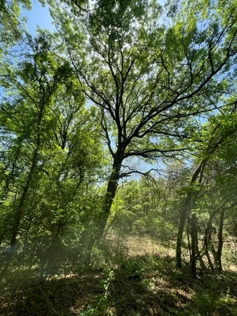 159 Bee Creek School House Grandview TX 76050