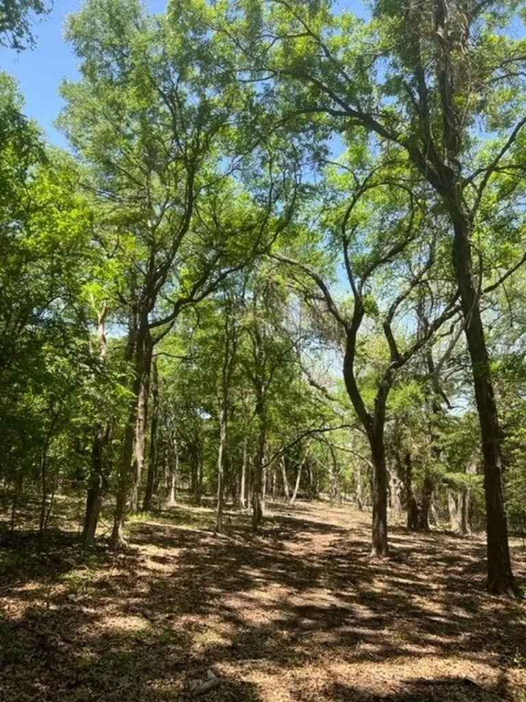 159 Bee Creek School House Grandview TX 76050