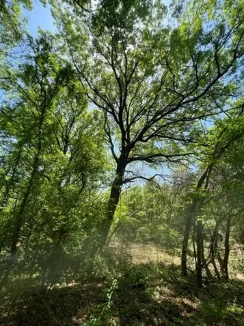 159 Bee Creek School House Grandview TX 76050