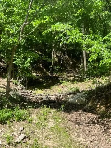159 Bee Creek School House Grandview TX 76050