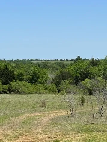 159 Bee Creek School House Grandview TX 76050