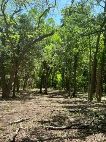 159 Bee Creek School House Grandview TX 76050