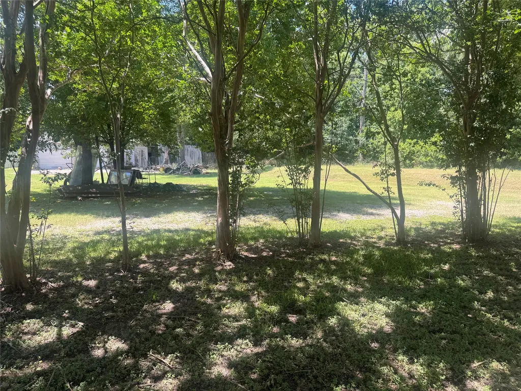 4205 Hickory Tree Road Balch Springs TX 75180