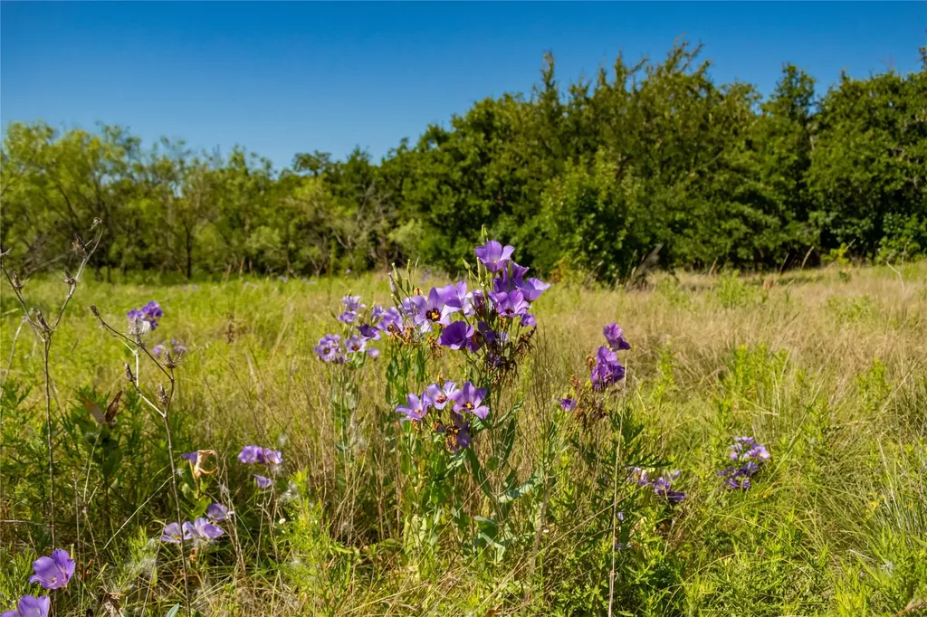 Tbd Nash Road Jacksboro TX 76458