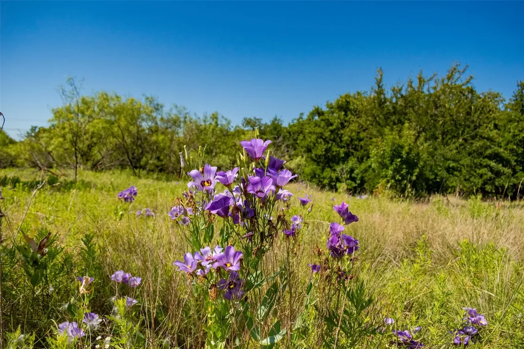 Tbd Nash Road Jacksboro TX 76458