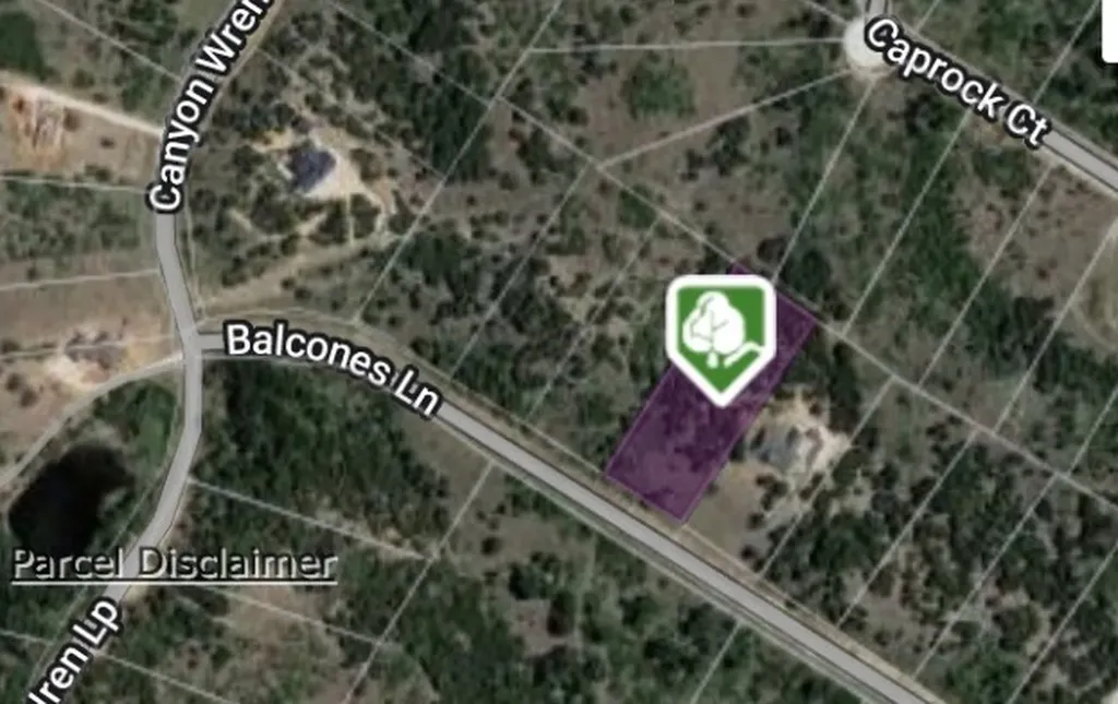1241 Balcones Lane Graford TX 76449