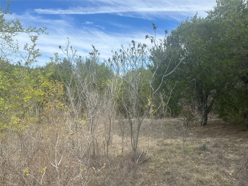 1241 Balcones Lane Graford TX 76449