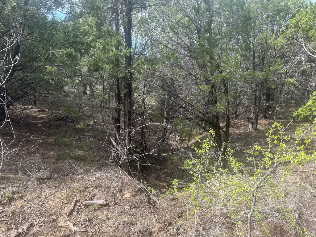 1241 Balcones Lane Graford TX 76449