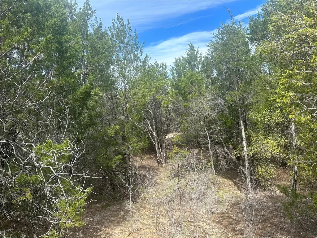 1241 Balcones Lane Graford TX 76449