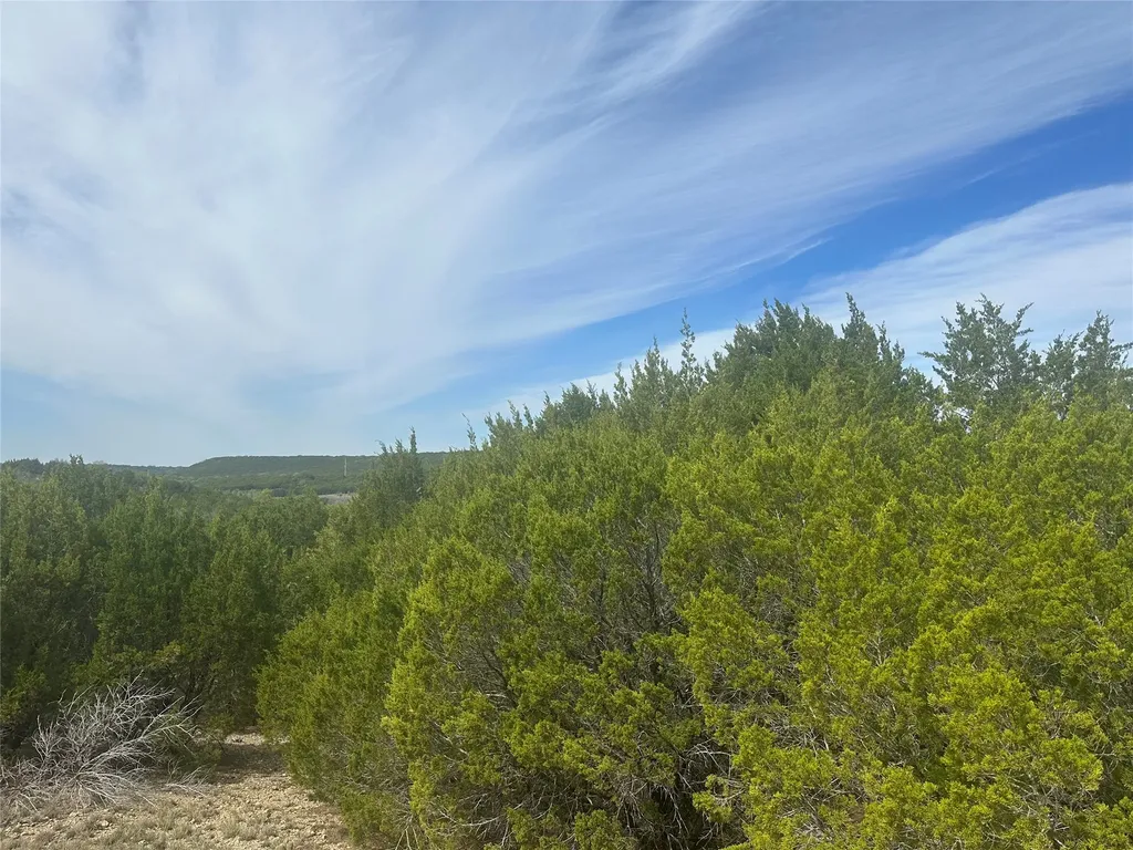 1241 Balcones Lane Graford TX 76449
