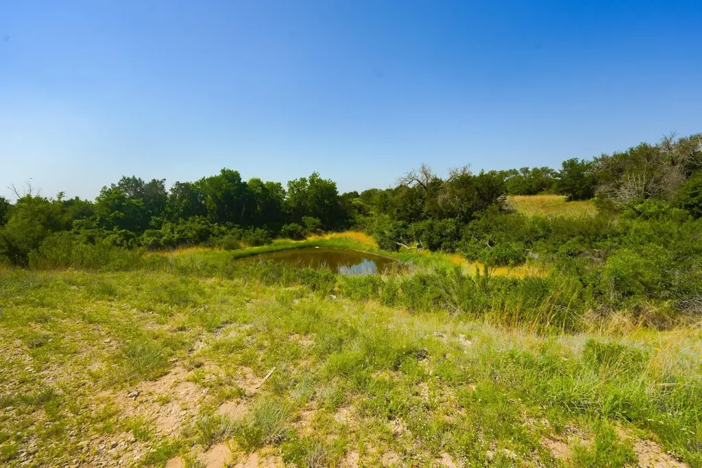 710 Whispering Oaks Lane Early TX 76802