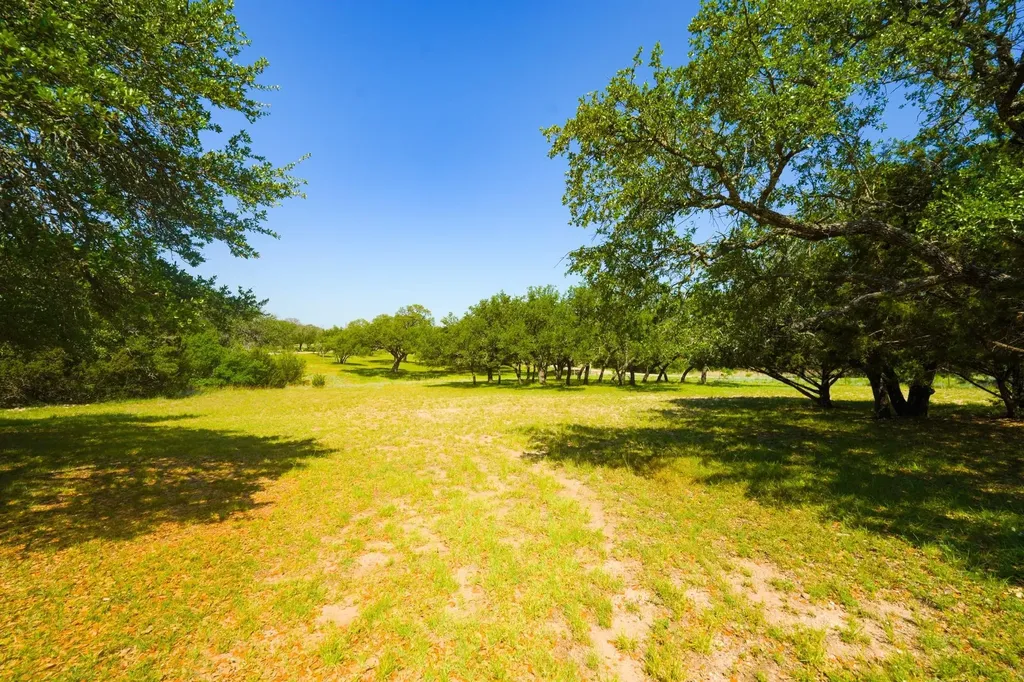 710 Whispering Oaks Lane Early TX 76802