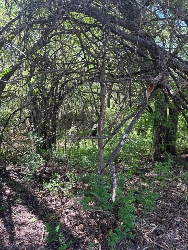 0000 Rockport Road Sherman TX 75092