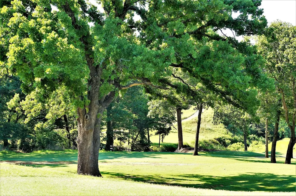573 Sycamore Hills Loop Gordonville TX 76245
