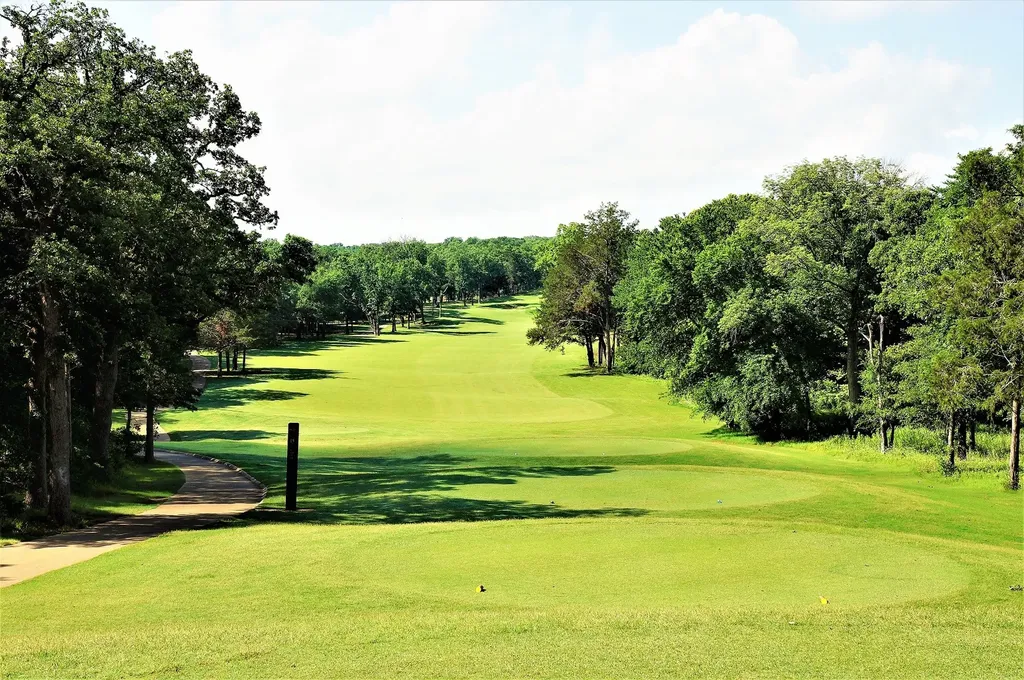 573 Sycamore Hills Loop Gordonville TX 76245