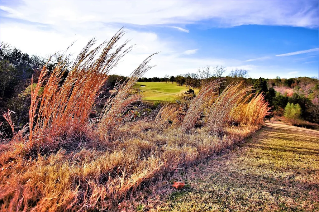 573 Sycamore Hills Loop Gordonville TX 76245