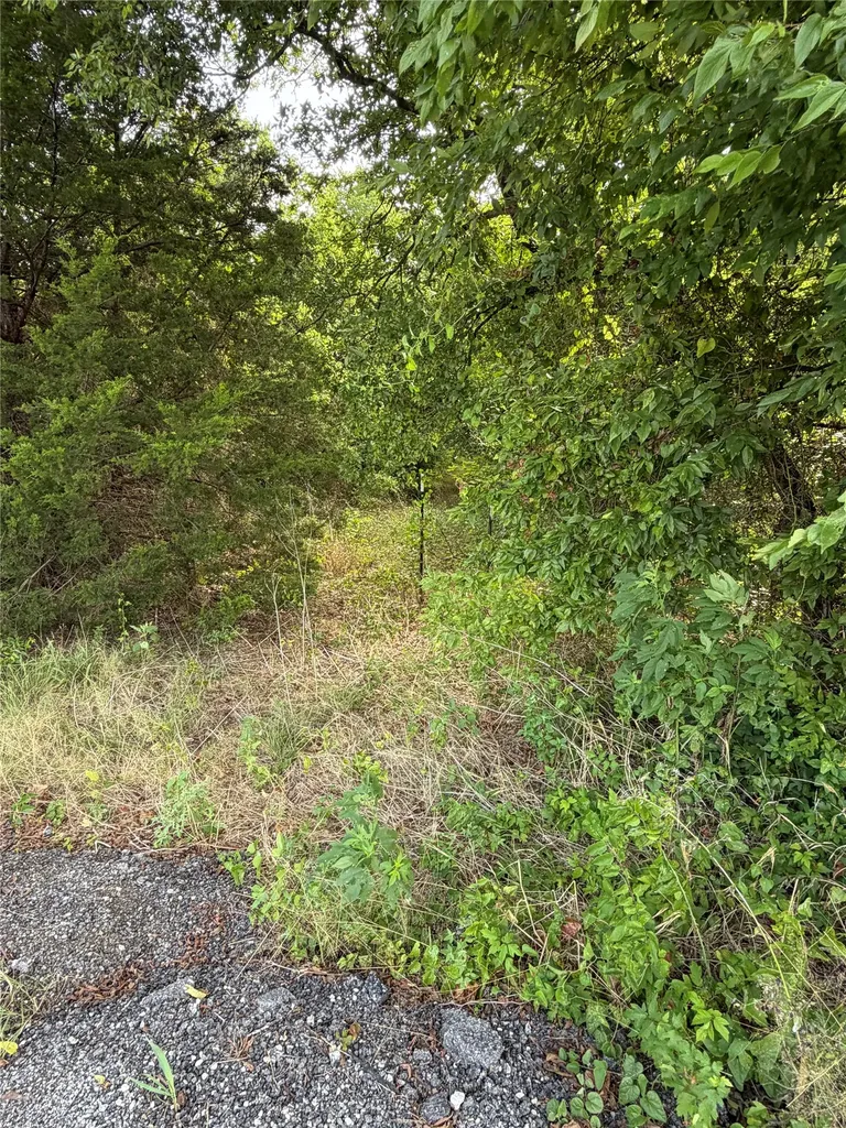 11601 County Road 103 Grandview TX 76050