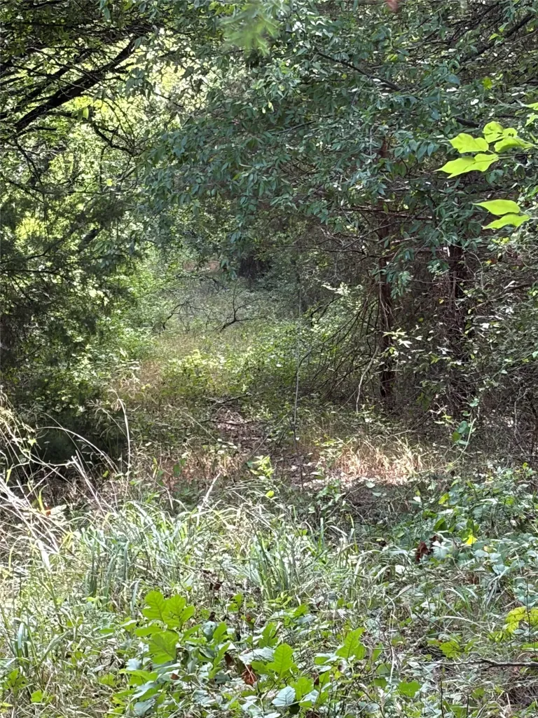 11601 County Road 103 Grandview TX 76050