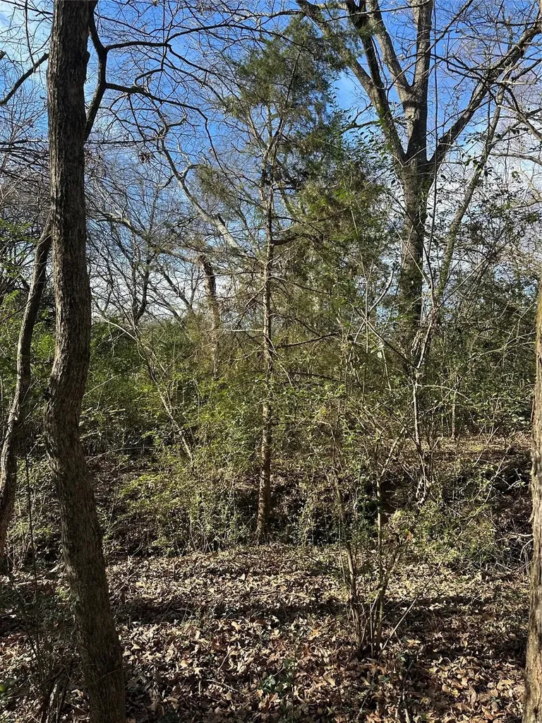 0000 County Road 2324 Como TX 75431