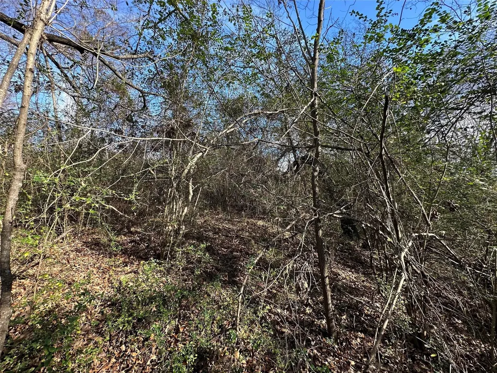0000 County Road 2324 Como TX 75431