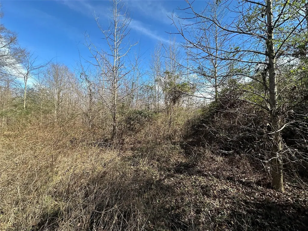 0000 County Road 2324 Como TX 75431