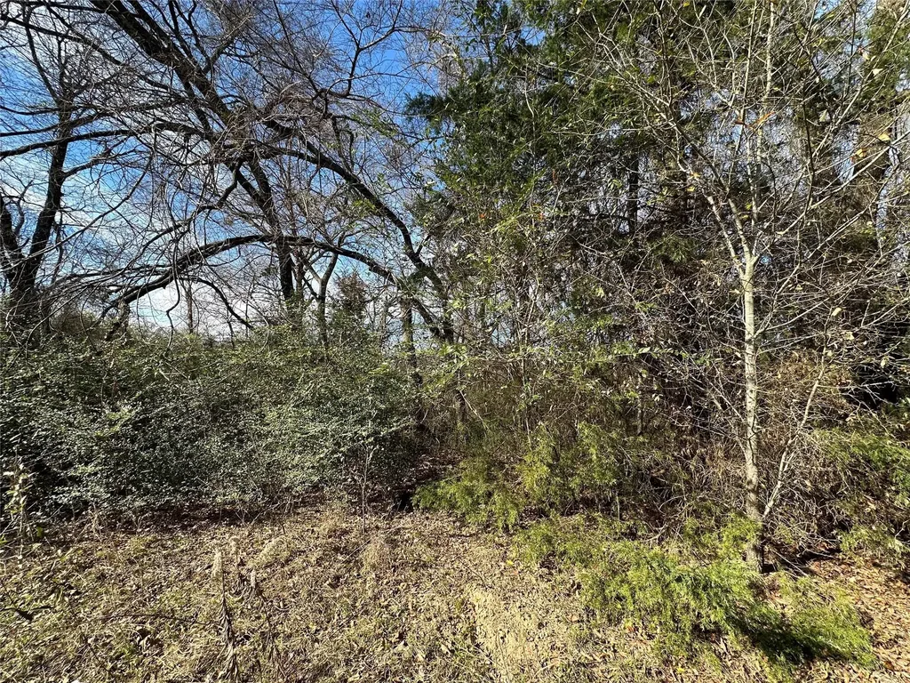 0000 County Road 2324 Como TX 75431