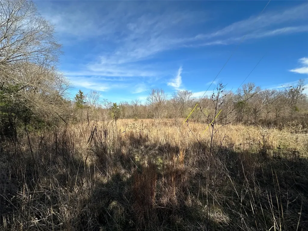 0000 County Road 2324 Como TX 75431