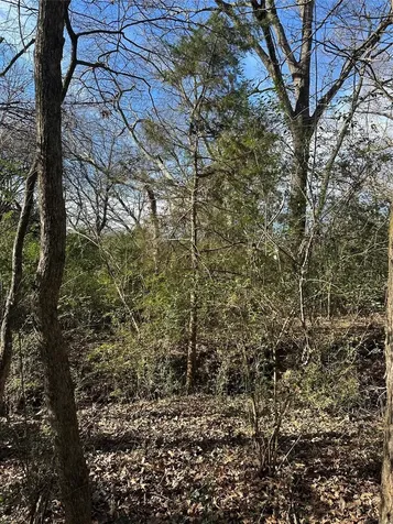 0000 County Road 2324 Como TX 75431