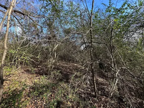0000 County Road 2324 Como TX 75431