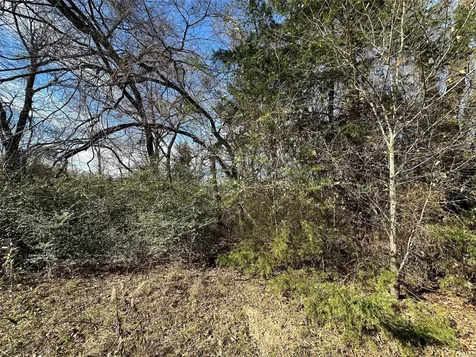 0000 County Road 2324 Como TX 75431