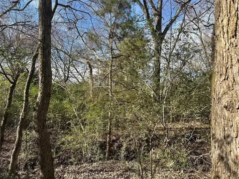 0000 County Road 2324 Como TX 75431