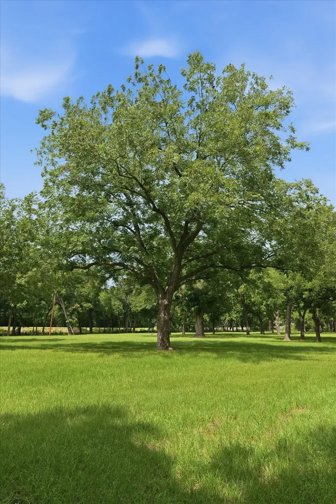 4258 Highway 164 E Groesbeck TX 76642